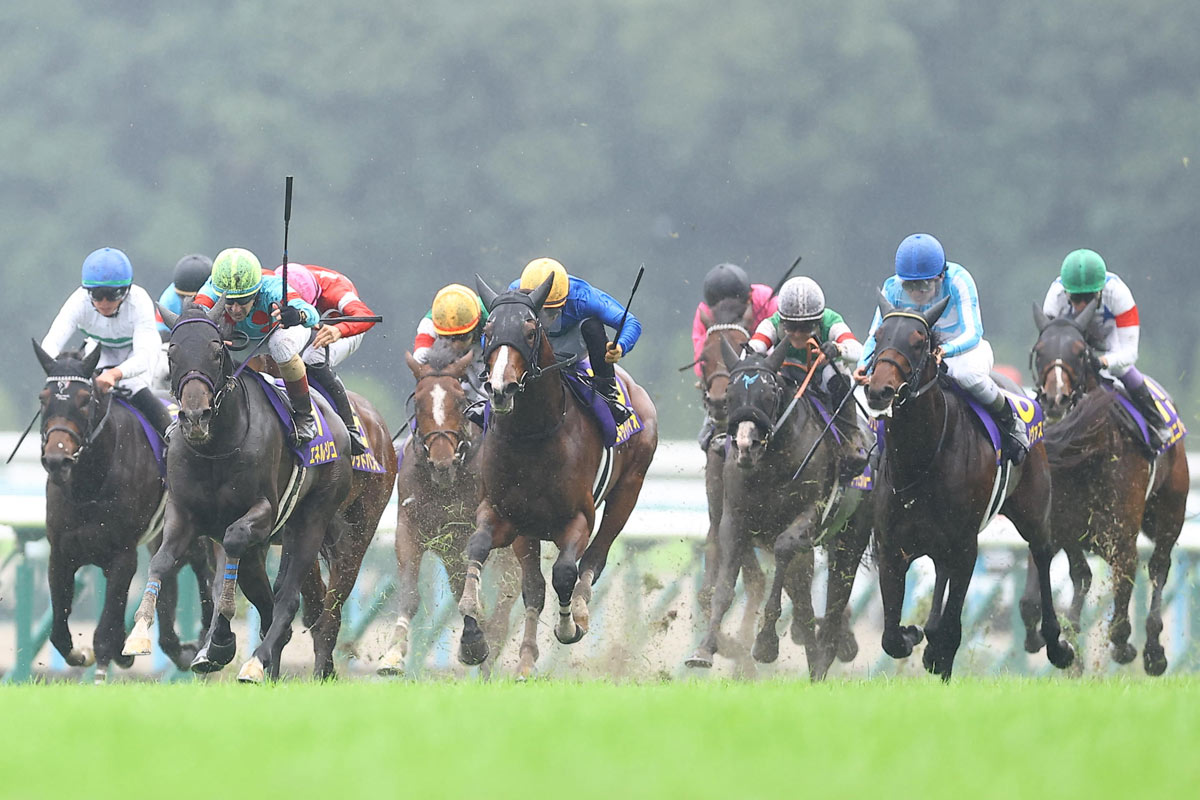 菊花賞結果＆コメント】エネルジコでルメール3連覇「京都でGⅠ勝つと僕